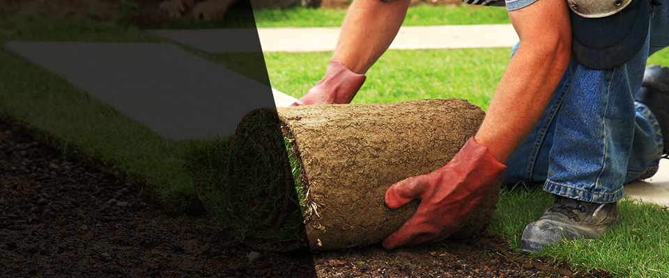 Belfair Landscapers